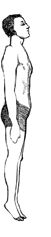 ilustración de un paciente