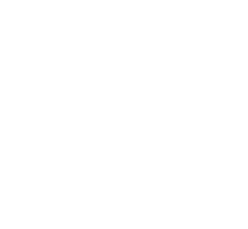 Icono de pulmón