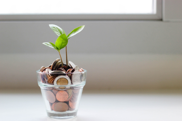Una planta crece en una maceta llena de monedas