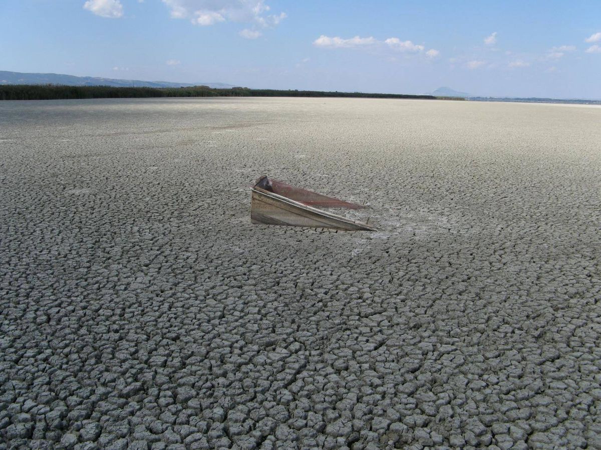 Foto: El lago Volvi en Grecia que se seca temporalmente como consecuencia de el riego excesivo en el sector de la agricultura (junto con los efectos del cambio climático). Se trata de uno de los ejemplos de sistema acuático puesto en riesgo por la ectividad 