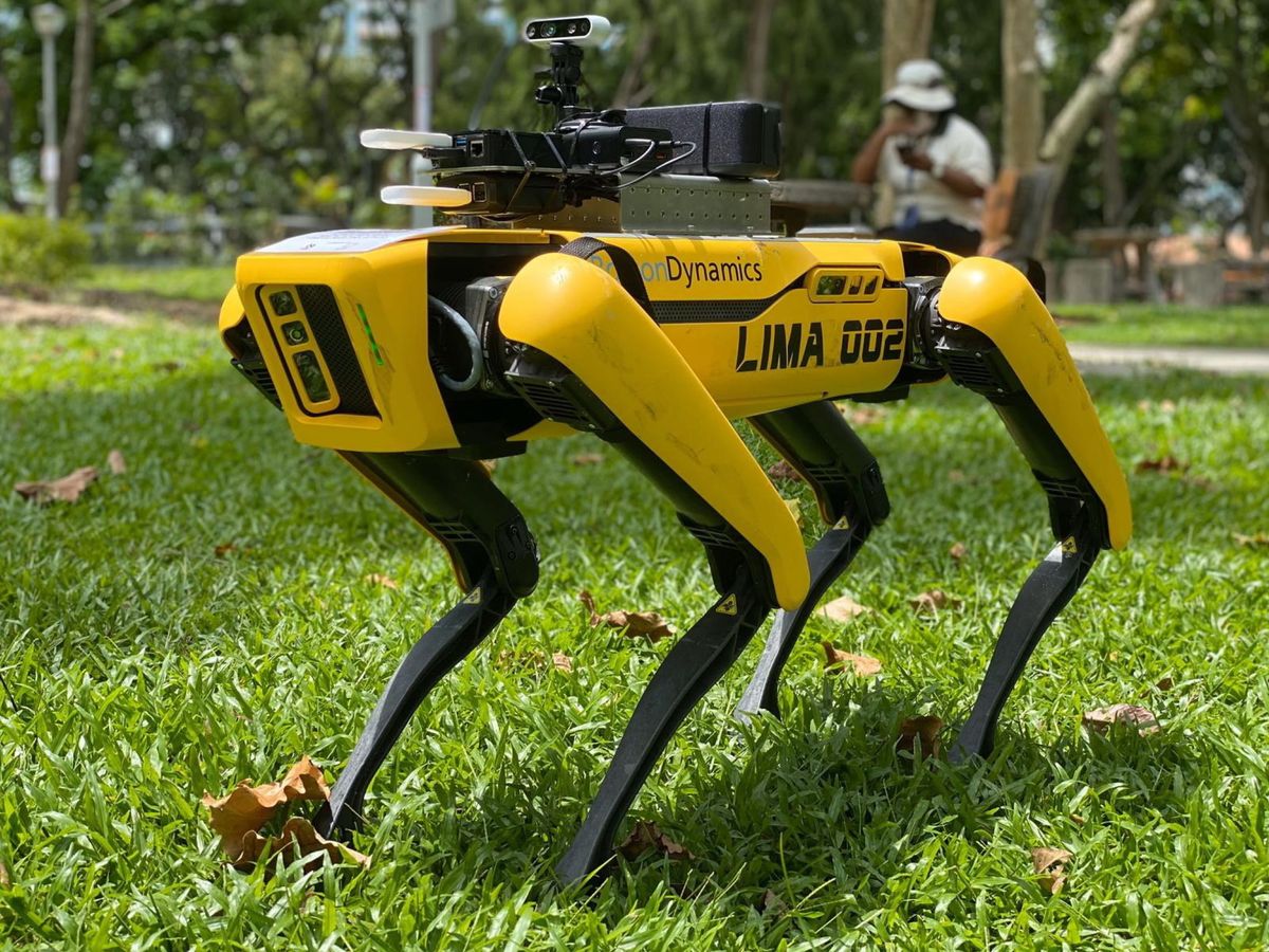 Social: El 'terrorífico' perro-robot que utiliza Singapur para mantener la distancia social