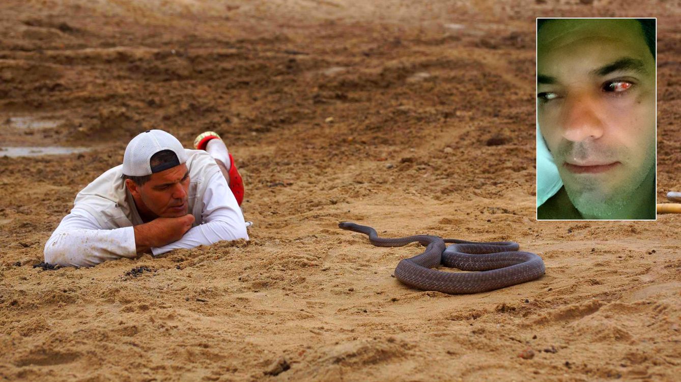 Twitter: Twitter - Frank Cuesta aparca su programa tras ser atacado por una serpiente