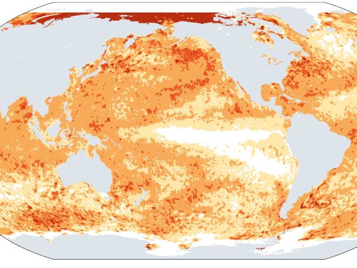 Cambio climático: Las olas de calor no pasan solo en tierra: los mares  también las sufren
