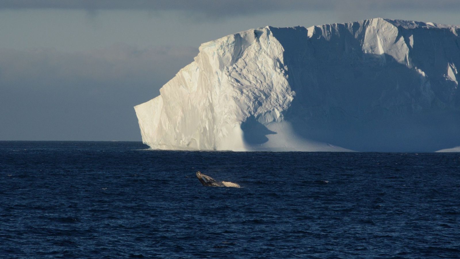 Un iceberg gigante se desprende de la Antártida: es tan grande como Gran  Canaria