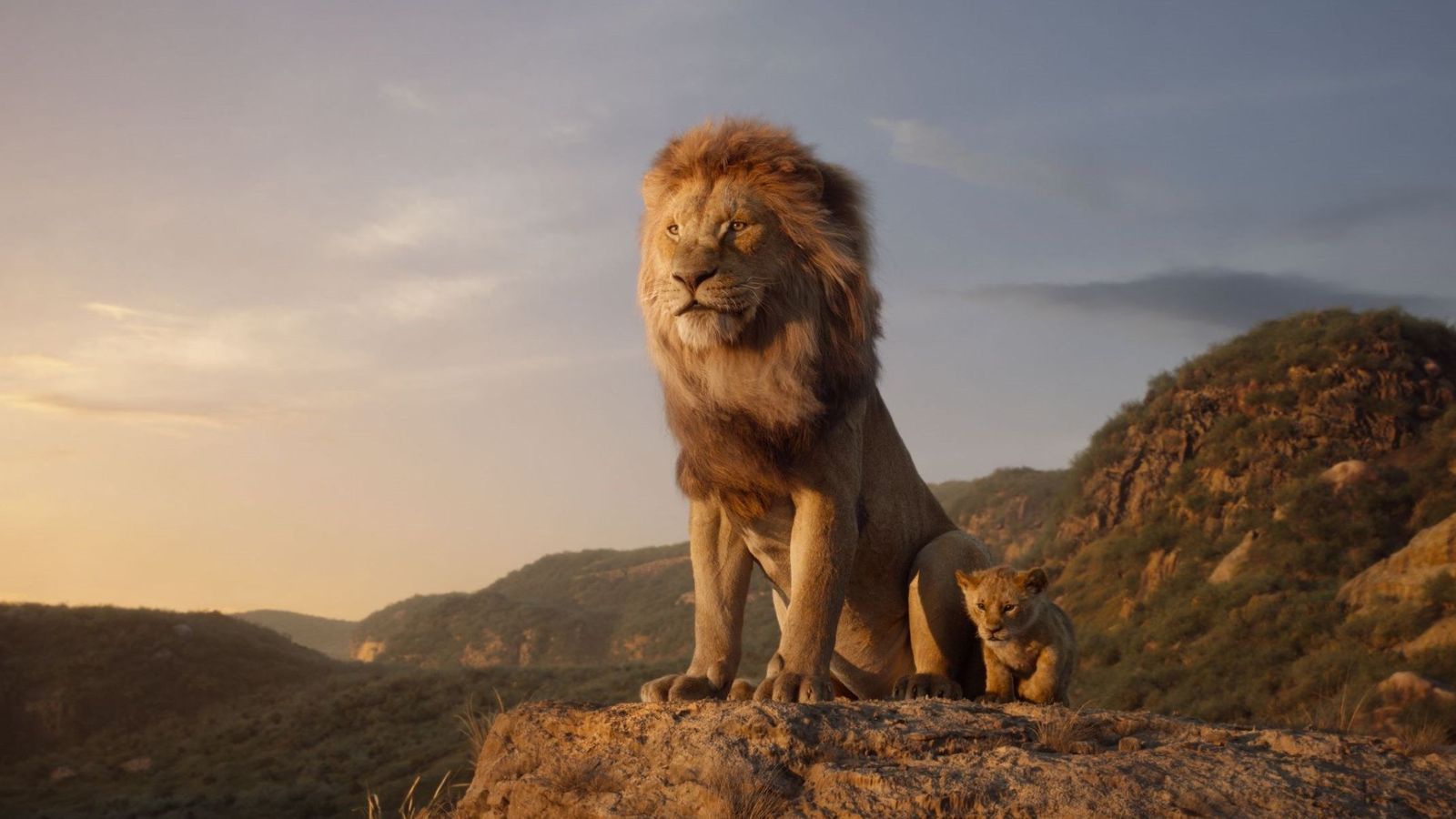 El león es un ejemplo de virtud, grandeza, fidelidad y moralidad. En el Simhasana