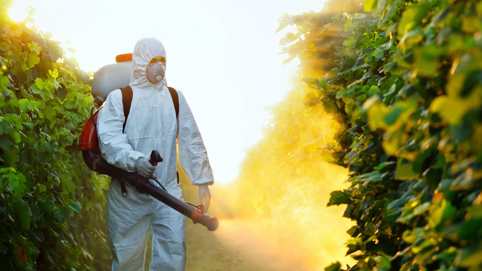 ¿Hay menos pesticidas en los alimentos orgánicos?