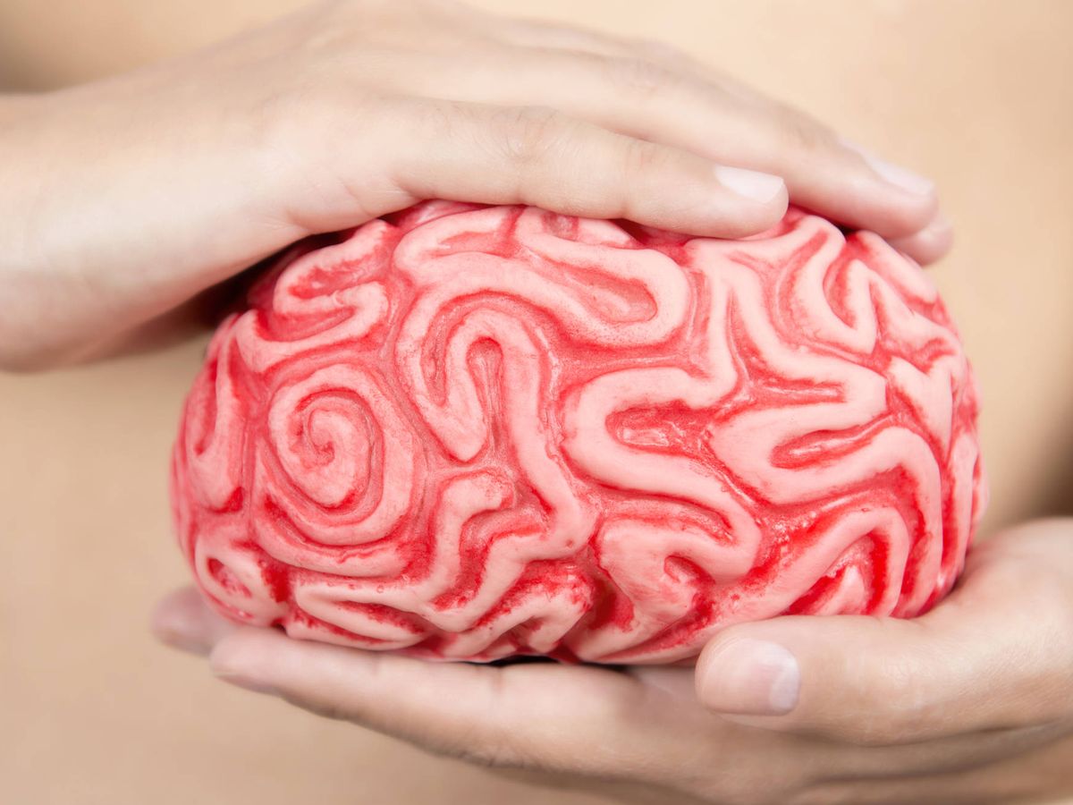 Foto: Nuestro segundo cerebro. (iStock)