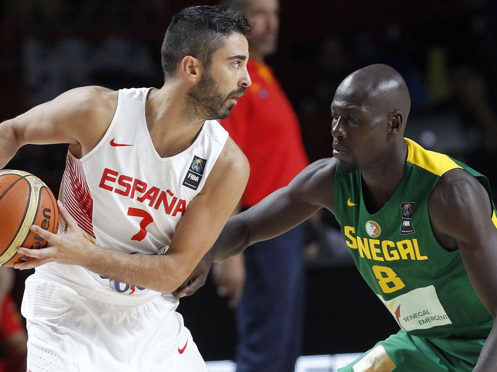 Navarro, tres meses de baja, se pierde el Eurobasket | Hoy
