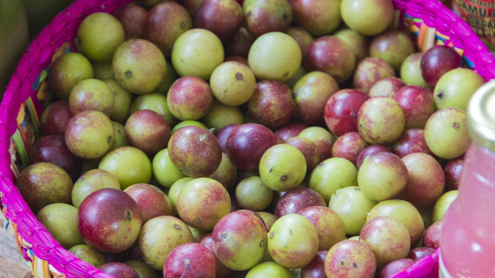 Fruta: Camu camu, la fruta del Amazonas que ayuda a adelgazar