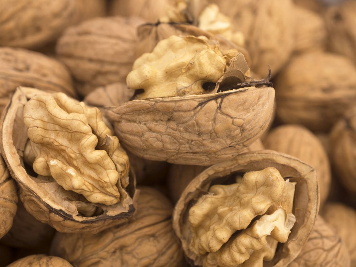 Frutos secos: 9 razones de peso para incluir las nueces en tu ...