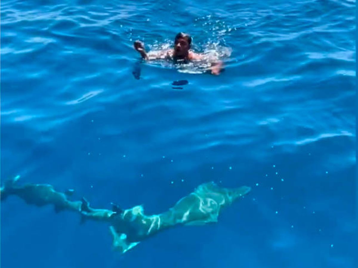 Foto: una mano è tornata a nuotare verso la barca nonostante fosse circondata da squali (Instagram)