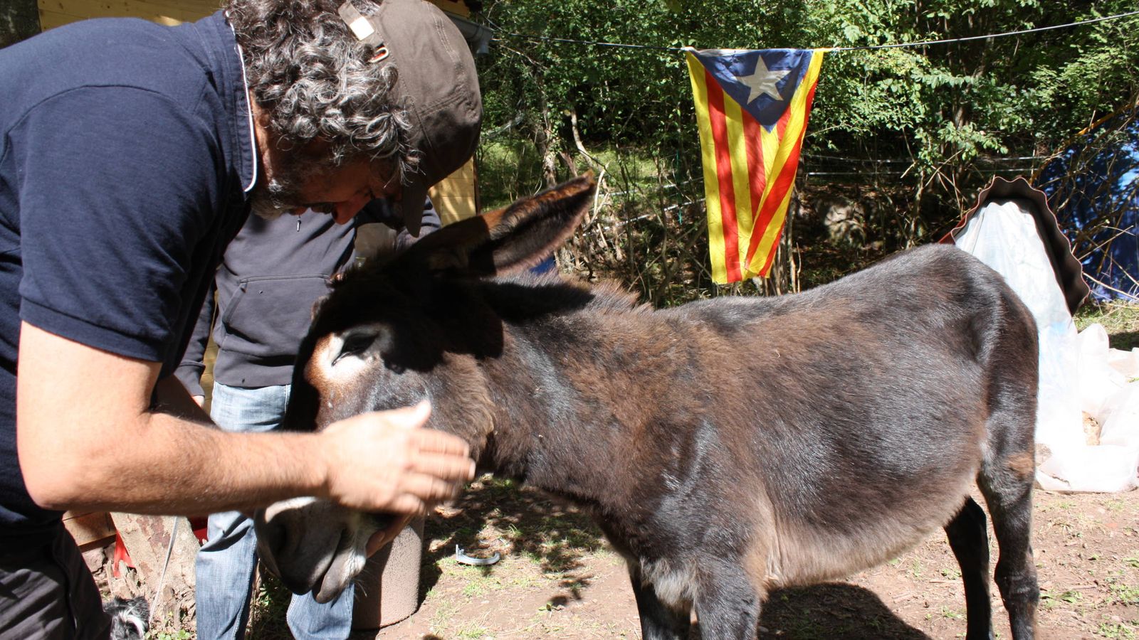 Foto:  Didac A. Costa acaricia a su burro Burruti. (A. V.)