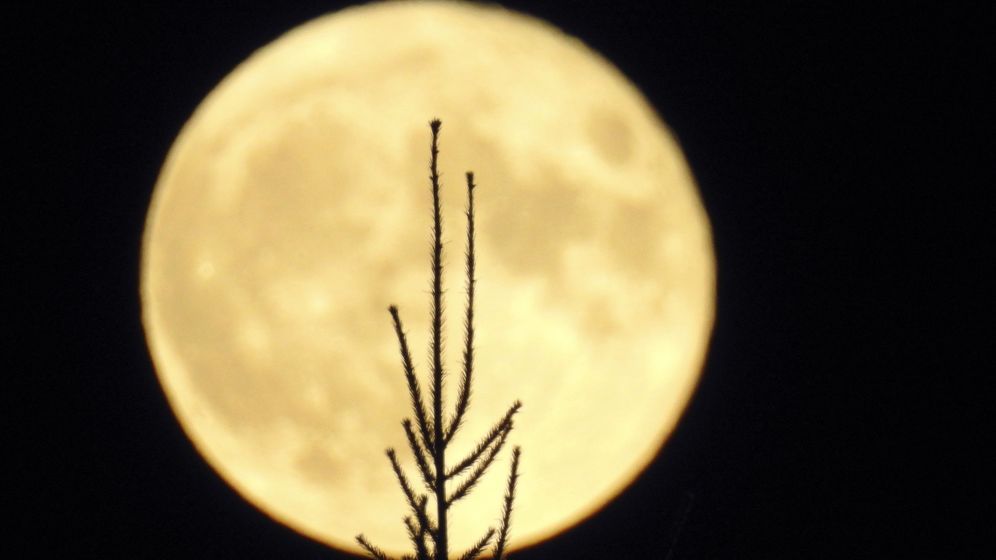 Foto: La luna llena sobre santiago de compostela con cielos despejados