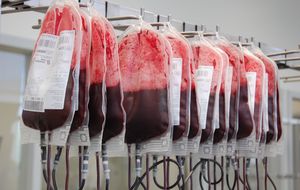 ¿Qué hay detrás de una donación de sangre?
