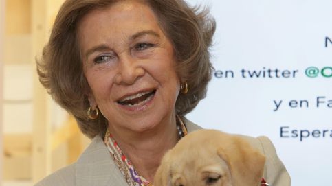 La Reina Sofía muestra su lado más cariñoso con un cachorro