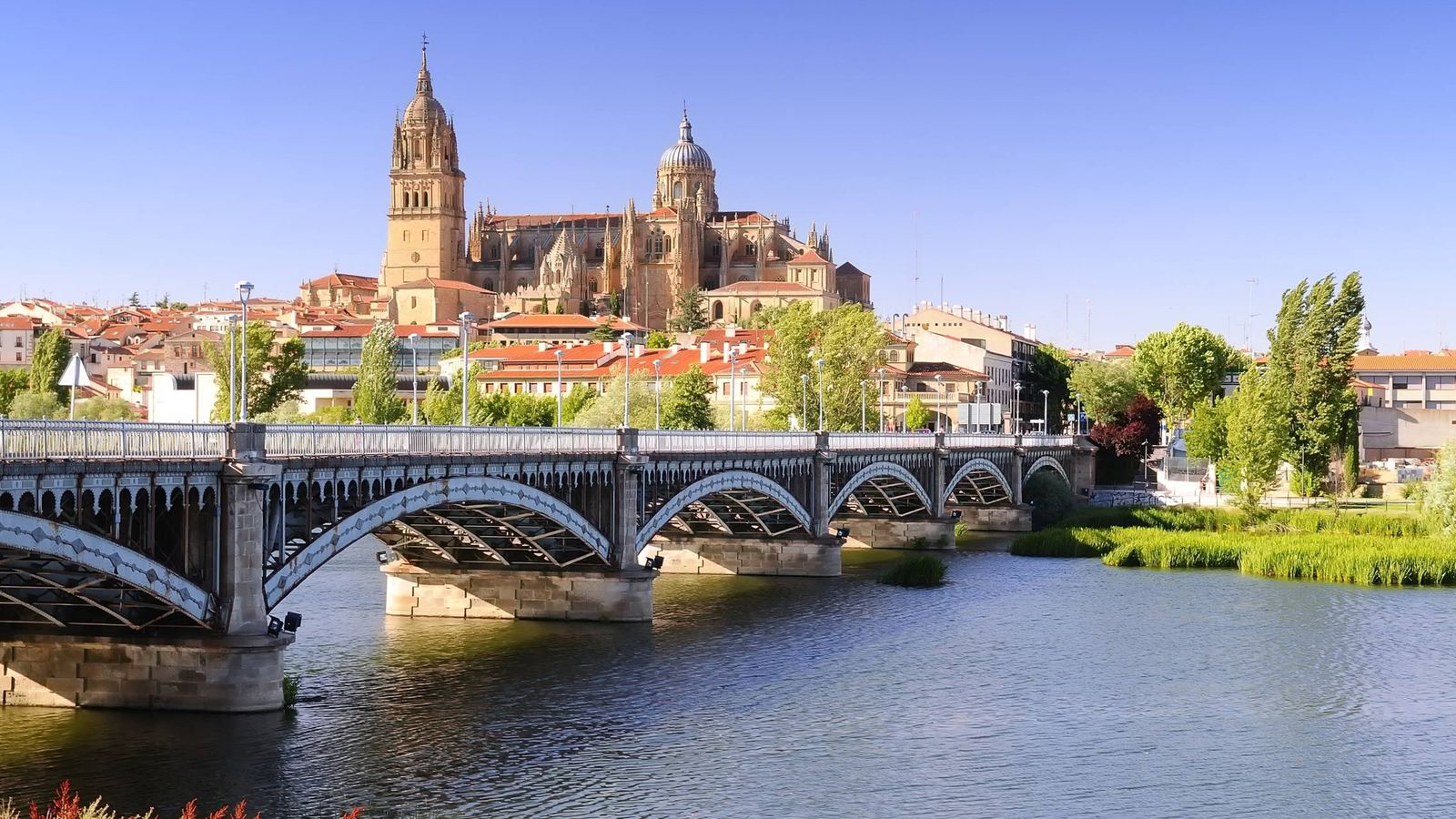 Descubre Salamanca en un fin de semana: 11 lugares que ver en la ciudad del  Lazarillo