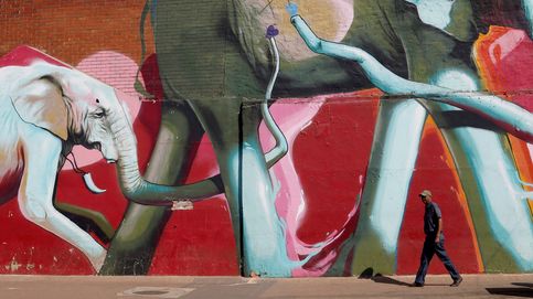 La mariposa de la lavanda y arte urbano en Johannesburgo: el día en fotos