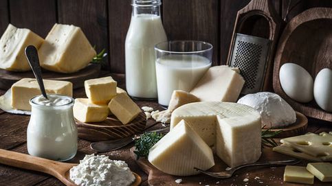 Manual del lácteo: propiedades, beneficios y consumo