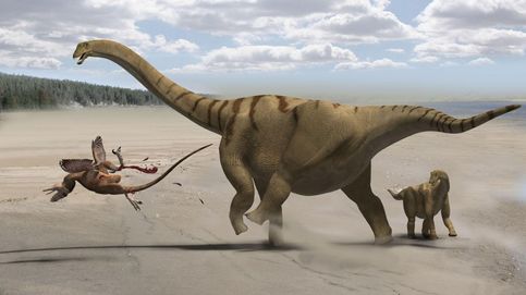 Reptiles gigantes: las últimas especies de dinosaurios descubiertas en el mundo