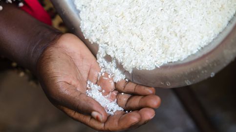 Así se come el arroz alrededor del mundo. ¿Mejor que la paella?