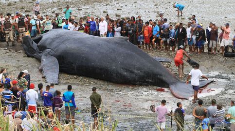 Una ballena muere en Brasil y el año nuevo musulmán: el día en fotos