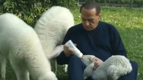 Berlusconi pide a los italianos que no coman cordero en Pascua
