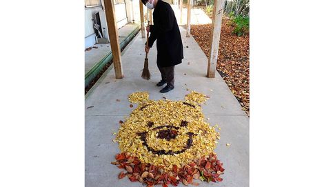 'Street art otoñal', los japoneses enloquecen en Instagram con las hojas caídas