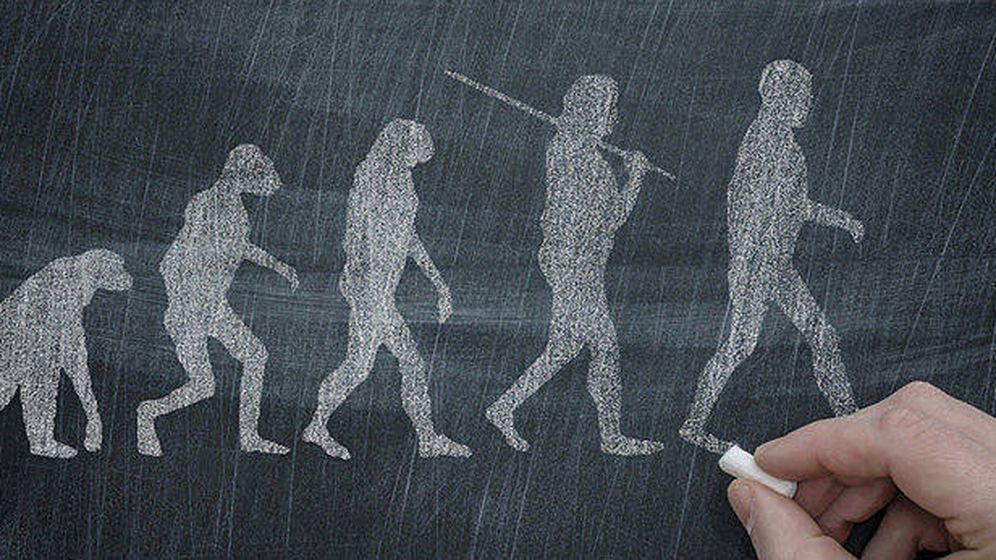 Resultado de imagen de evoluciÃ³n a partir del mono