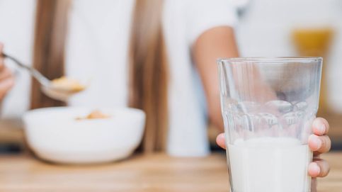 Un estudio revela el tipo de leche que ayuda a obtener el calcio recomendado