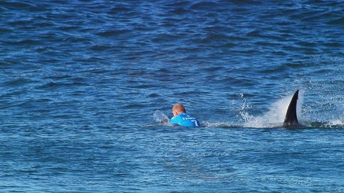 El campeón de surf Mick Fanning, atacado por un tiburón en Sudáfrica