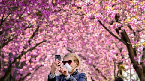 Explosión floral de cerezos en los parques de Londres en medio de la pandemia