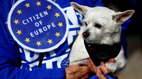 Perros contra el Brexit