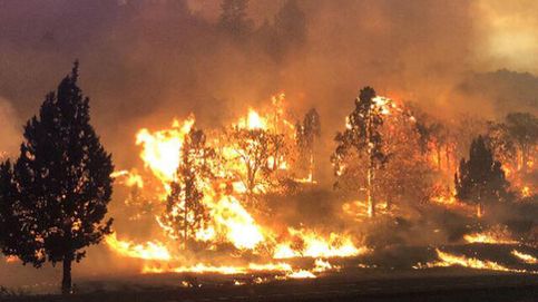 Un muerto y decenas de evacuados en un incendio que ha arrasado unos campos de cultivo en Oregon