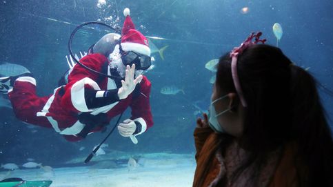 Santa Claus visita el acuario y Neto, 'El último sobreviviente': el día en fotos 