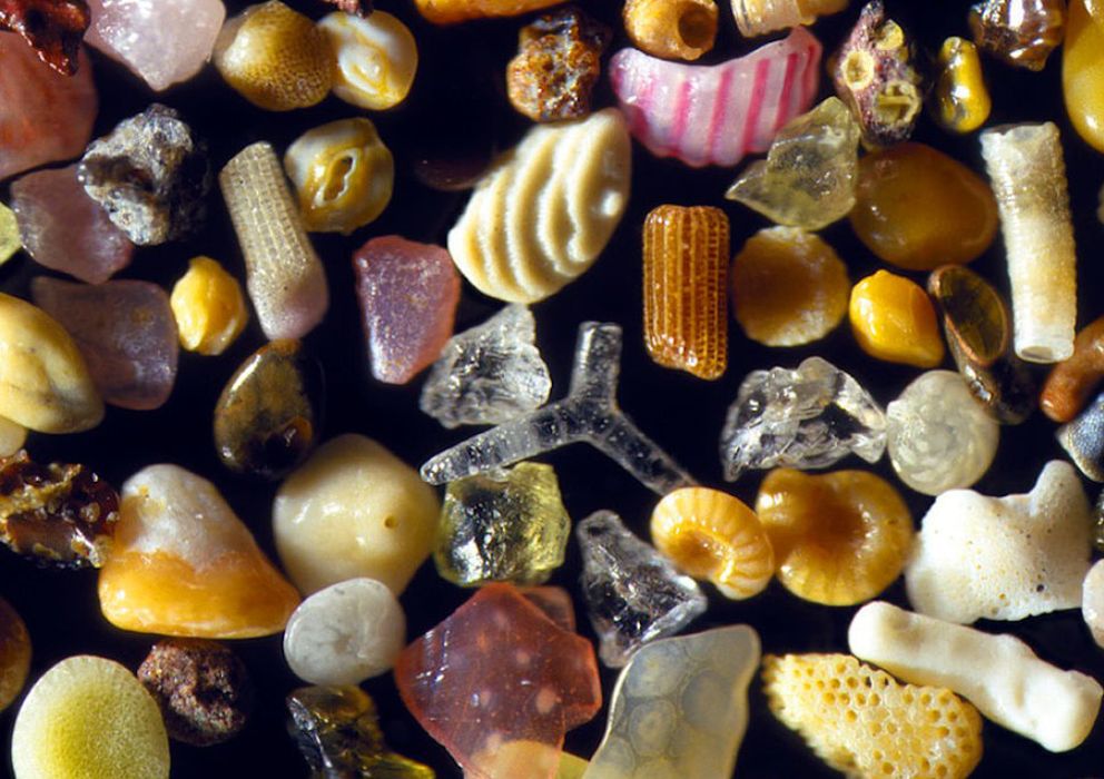 La belleza de lo minúsculo: 24 objetos cotidianos vistos bajo el microscopio