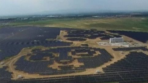 La granja solar más 'cuqui' del mundo está en China