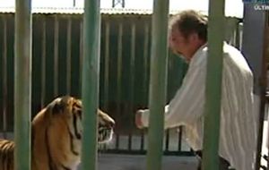 Atacado por un tigre en directo en 'Espejo Público'