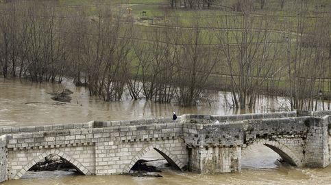 Imágenes de la crecida del río Pisuerga, que pone en alerta a Castilla y León