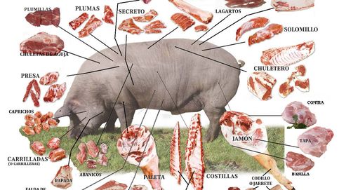 Del cerdo ibérico al tomate rosa: alimentos que podrían desaparecer y cómo evitarlo