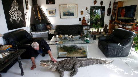 Este francés comparte su casa con 400 reptiles