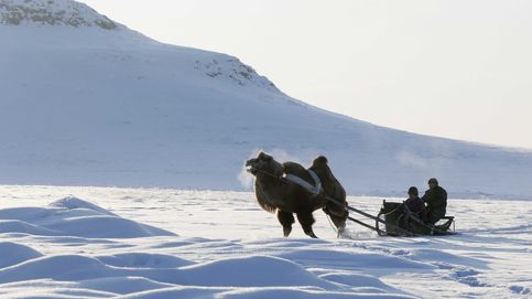 Cómo sobrevive un pastor nómada en Siberia