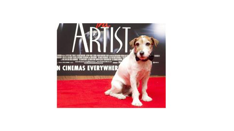 De Uggie ('The Artist') a Rin Tin Tin, diez perros que conquistaron la gran pantalla