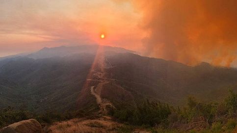 Los incendios forestales que arrasan California