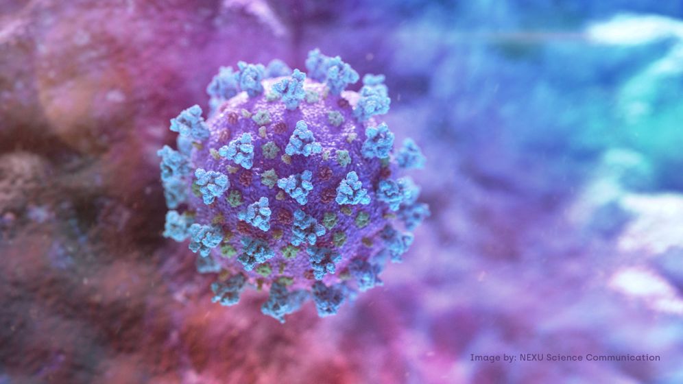 Foto: Modelo representativo de un coronavirus. (Reuters)