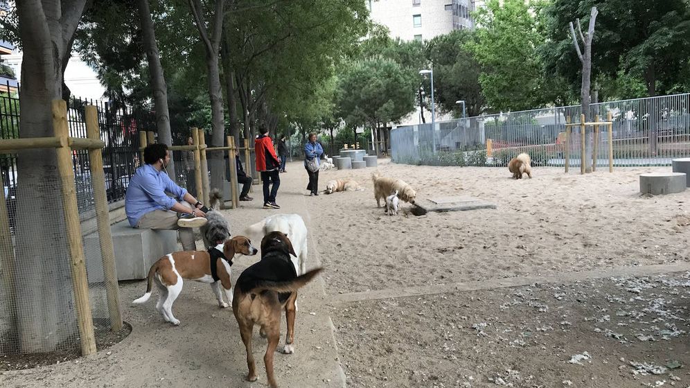 Foto: Los propietarios de perros se manifestarán este jueves en Barcelona. 