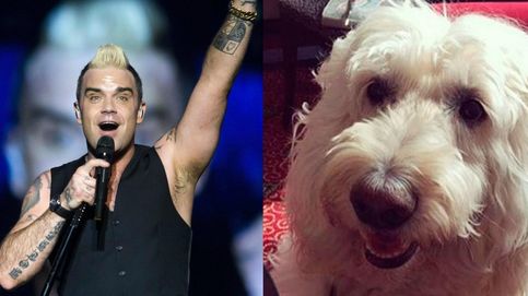 Robbie Williams rinde homenaje a su perro fallecido con un emotivo vídeo