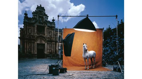 Purasangre: la devoción por el caballo español en el mundo