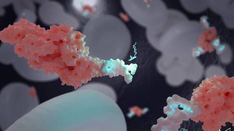 Desarrollan 'nanotransportadores' de ADN para tratar el cáncer y otras enfermedades