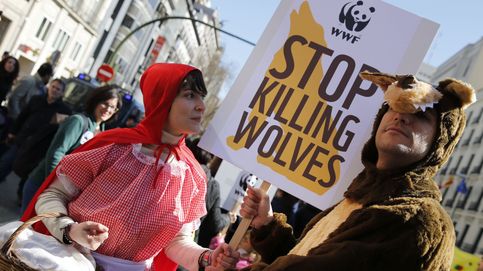 Marcha en defensa del lobo ibérico. (EFE)