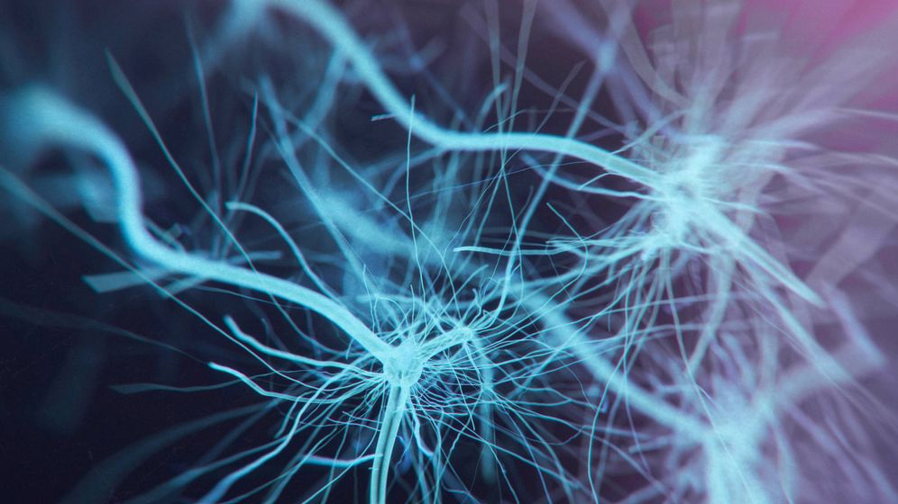 Foto: Reconstrucción de neuronas motoras, las células nerviosas a las que ataca la ELA. (iStock)